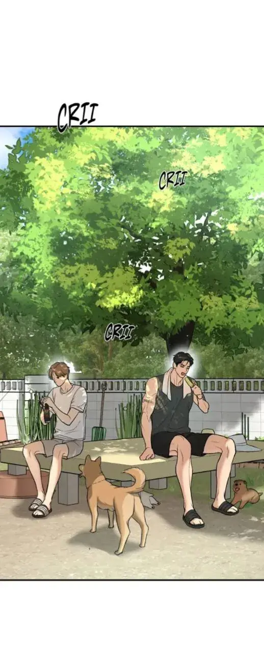 Azar do cavalo – Capítulo 77 Yaoi – Página 38