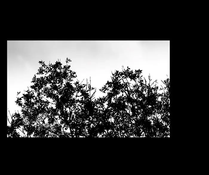 BJ Alex – Capítulo 50 Yaoi – Página 78