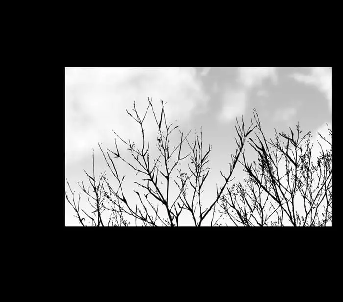 BJ Alex – Capítulo 50 Yaoi – Página 79