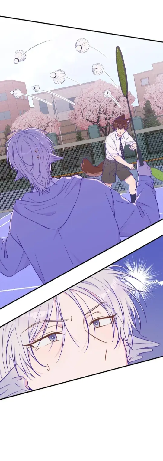 Cachorrinhos Mentirosos São Devorados – Capítulo 43 Yaoi – Página 5