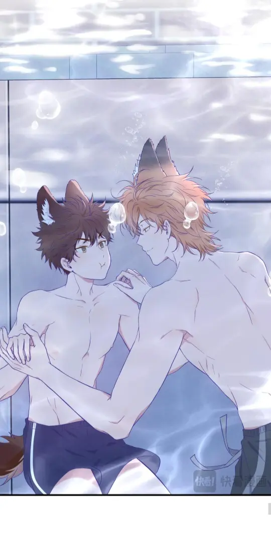 Cachorrinhos Mentirosos São Devorados – Capítulo 86 Yaoi – Página 13