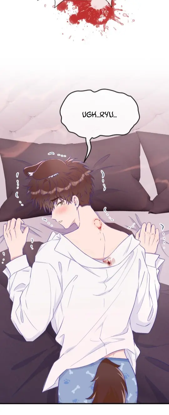 Cachorrinhos Mentirosos São Devorados – Capítulo 88 Yaoi – Página 15