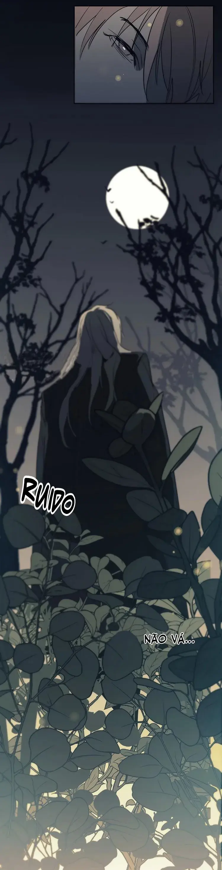 Cativado Pelo Luar – Capítulo 01 Yaoi – Página 14