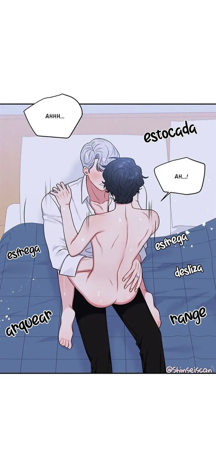 Cherry Blossoms After Winter – Capítulo 110 Yaoi – Página 27