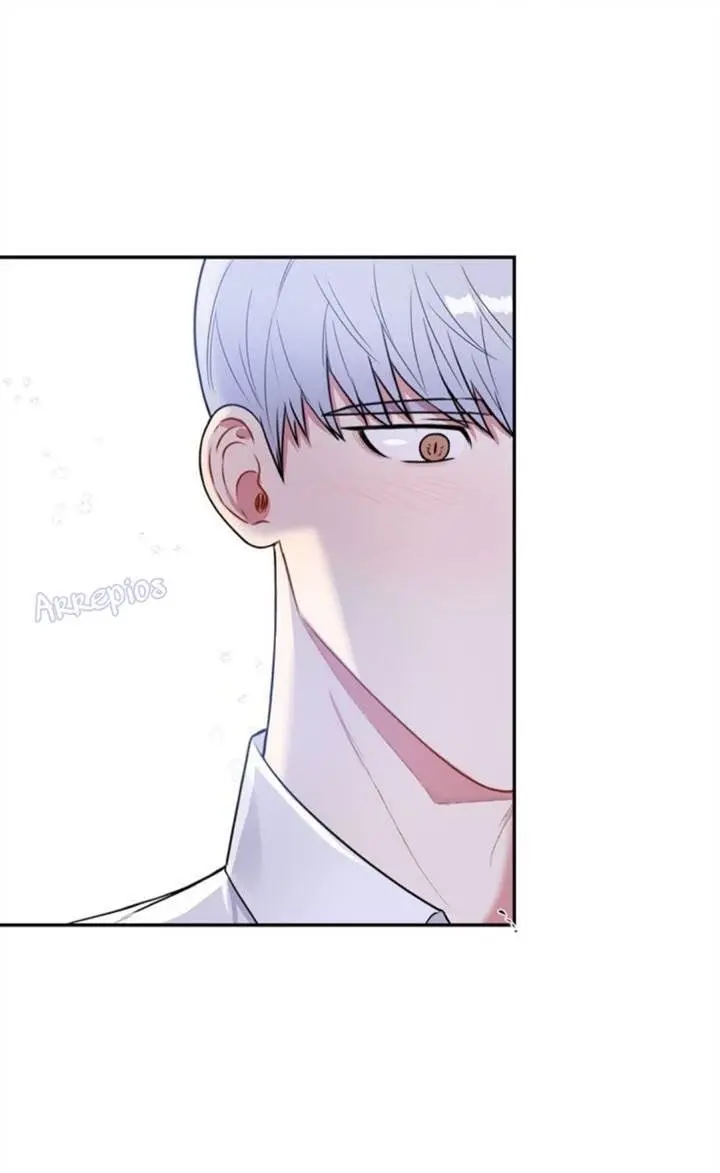 Cherry Blossoms After Winter – Capítulo 118 Yaoi – Página 38