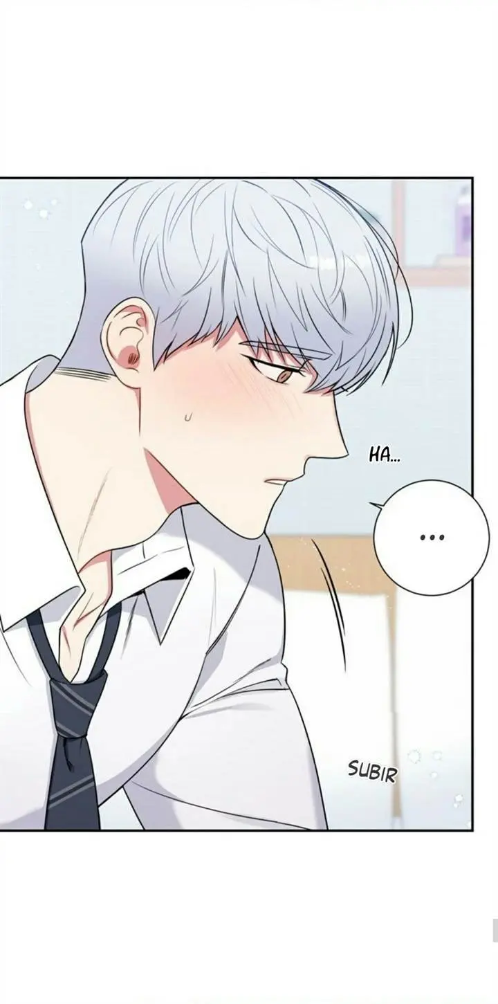 Cherry Blossoms After Winter – Capítulo 118 Yaoi – Página 58