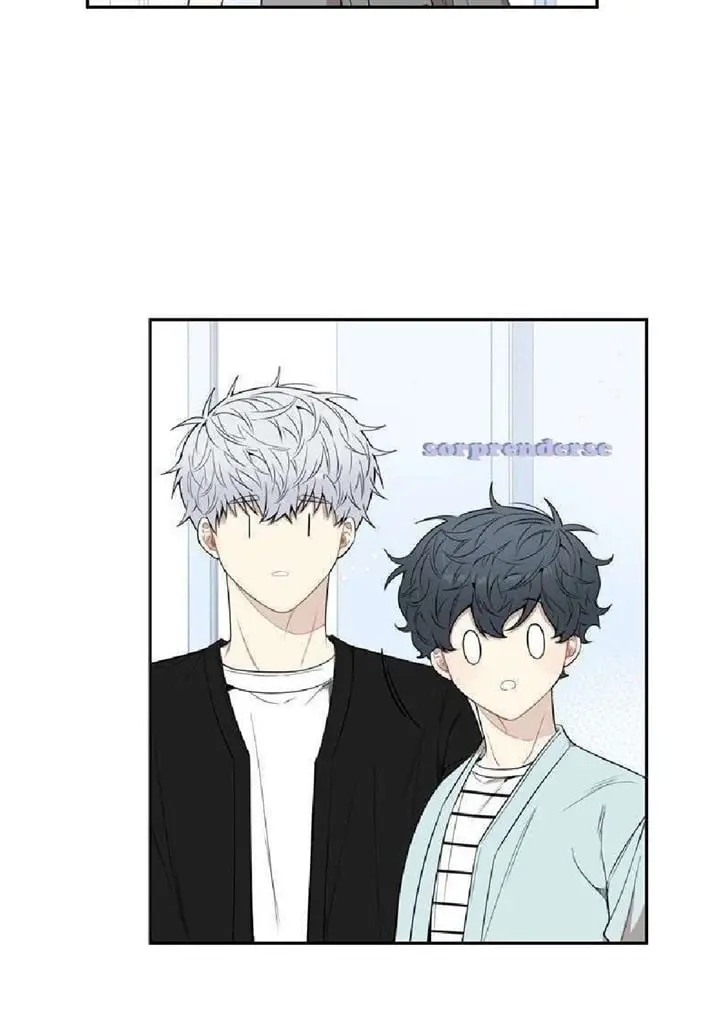 Cherry Blossoms After Winter – Capítulo 70 Yaoi – Página 40