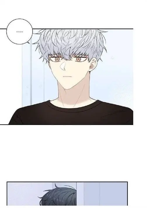 Cherry Blossoms After Winter – Capítulo 71 Yaoi – Página 45