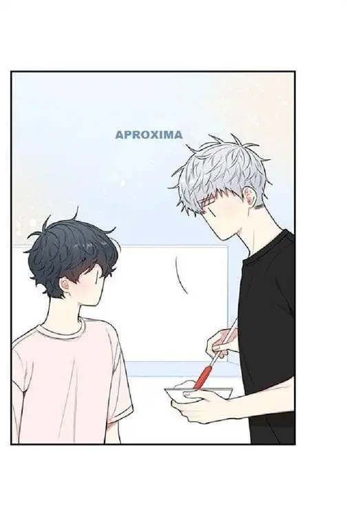 Cherry Blossoms After Winter – Capítulo 79 Yaoi – Página 31