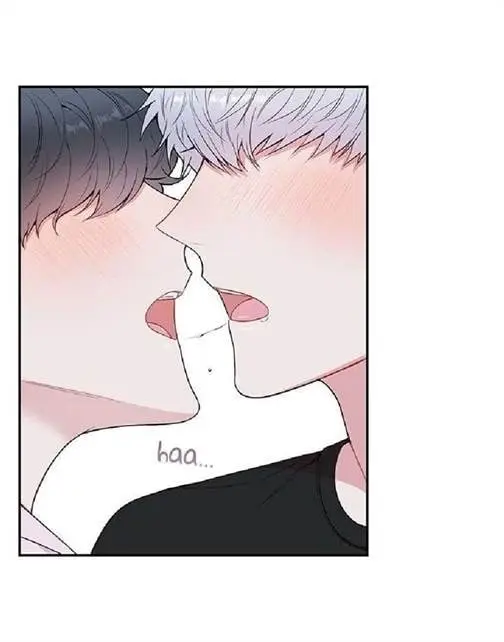 Cherry Blossoms After Winter – Capítulo 79 Yaoi – Página 52