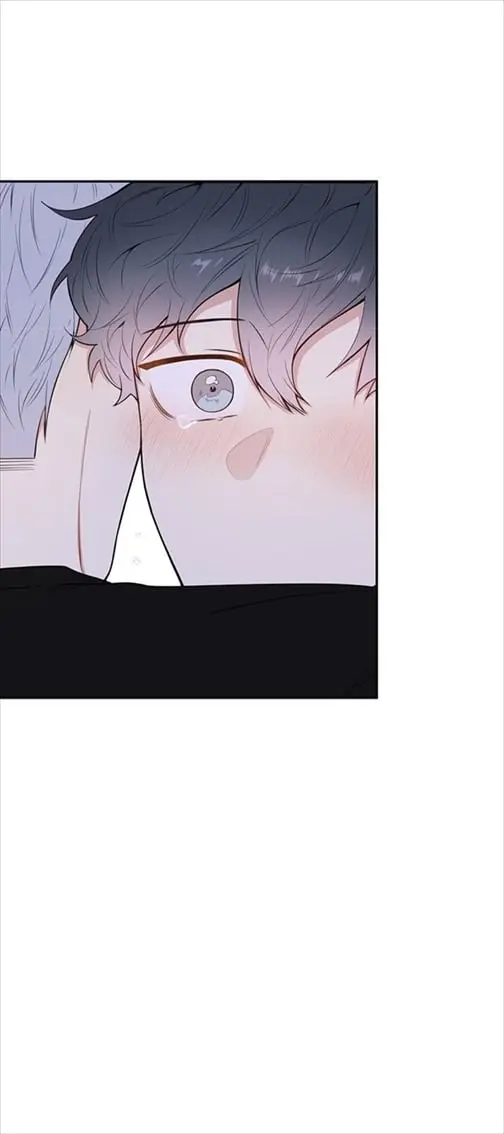 Cherry Blossoms After Winter – Capítulo 85 Yaoi – Página 31