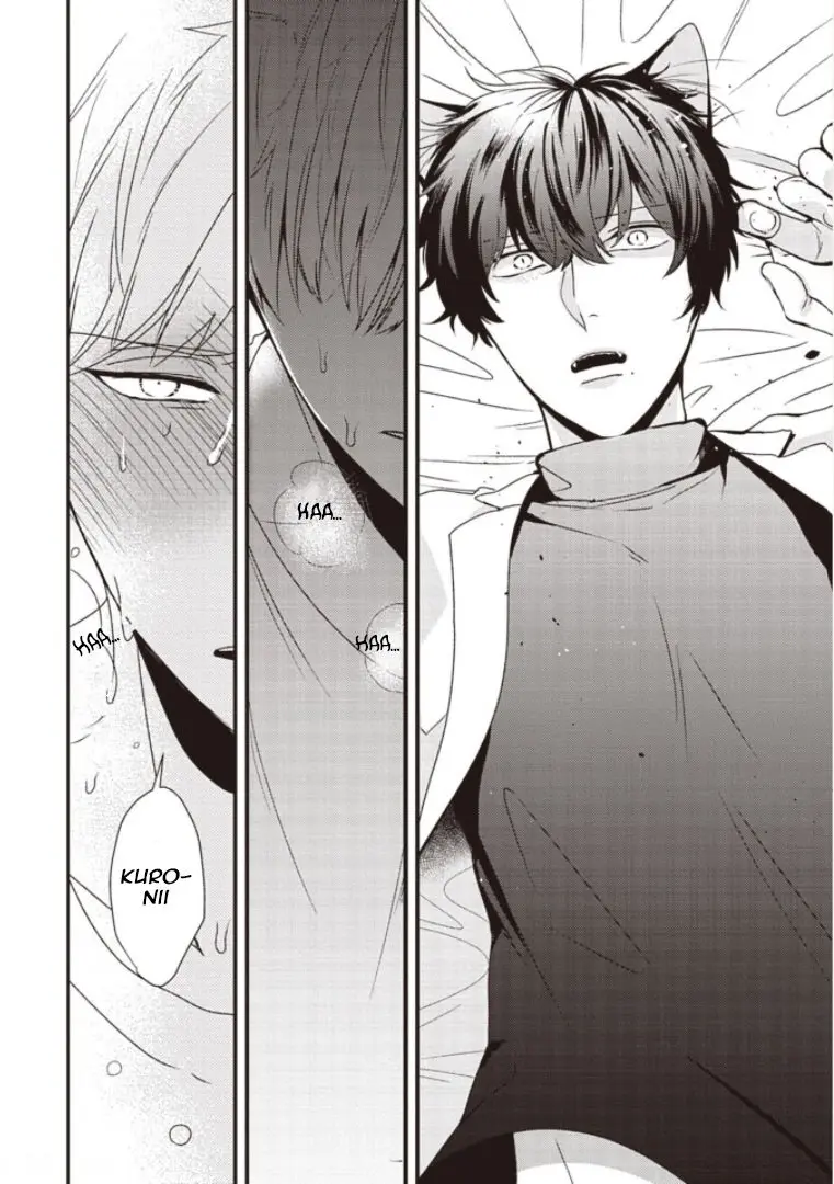 Circunstâncias do Estro de Coelhos e Gatos – Capítulo Capitulo único Yaoi – Página 24