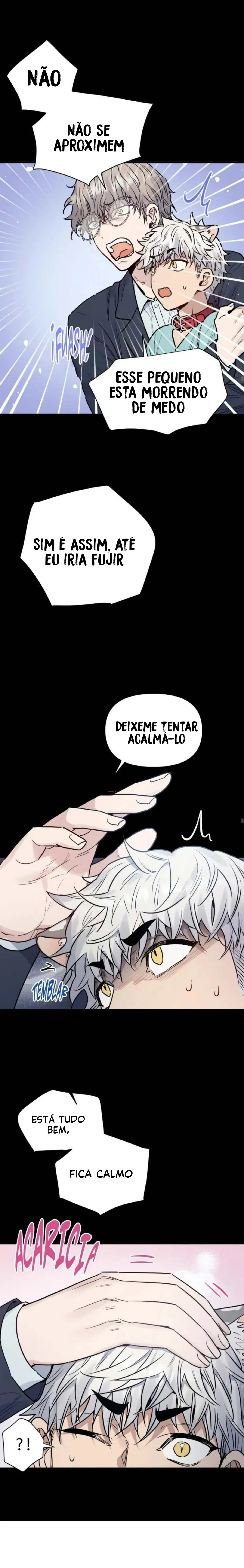 Cuidado com o tigre – Capítulo 01 Yaoi – Página 13