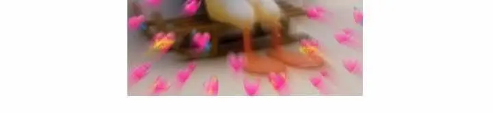 Dear Door – Capítulo 130 Yaoi – Página 31