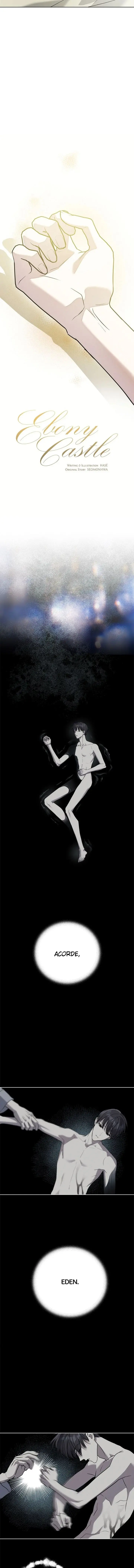 Ebony Castle – Capítulo 14 Yaoi – Página 9