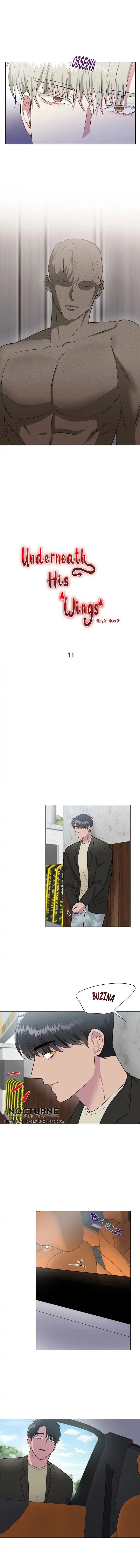 Escondido sob suas asas – Capítulo 11 Yaoi – Página 5