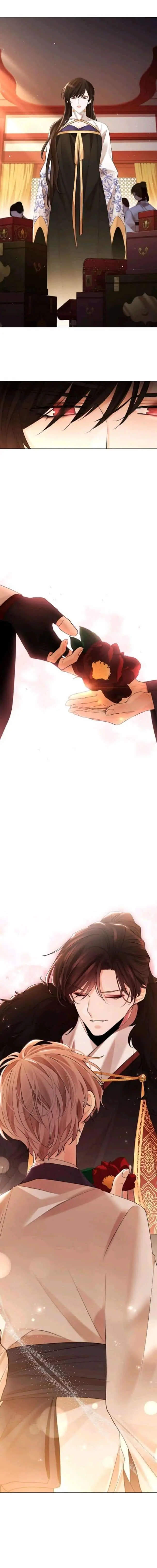 Flor de Papel – Capítulo 65 Yaoi – Página 3