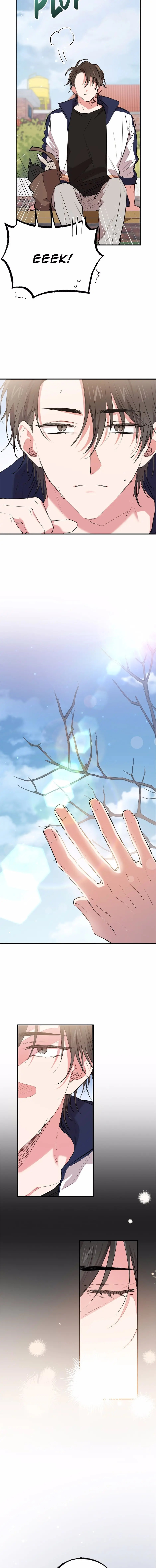 Habibi’s Rabbit – Capítulo 19 Yaoi – Página 9