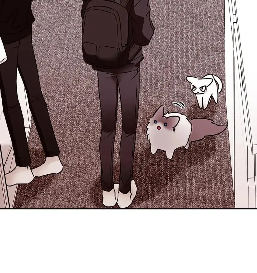 Involuntary Romance – Capítulo 19 Yaoi – Página 26