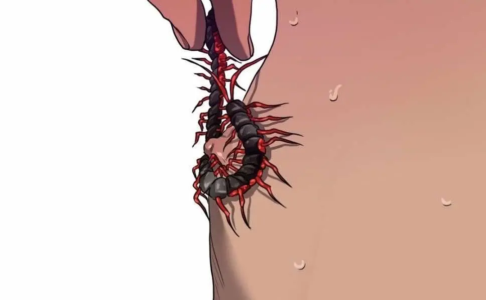 Killing Stalking – Capítulo 54 Yaoi – Página 53