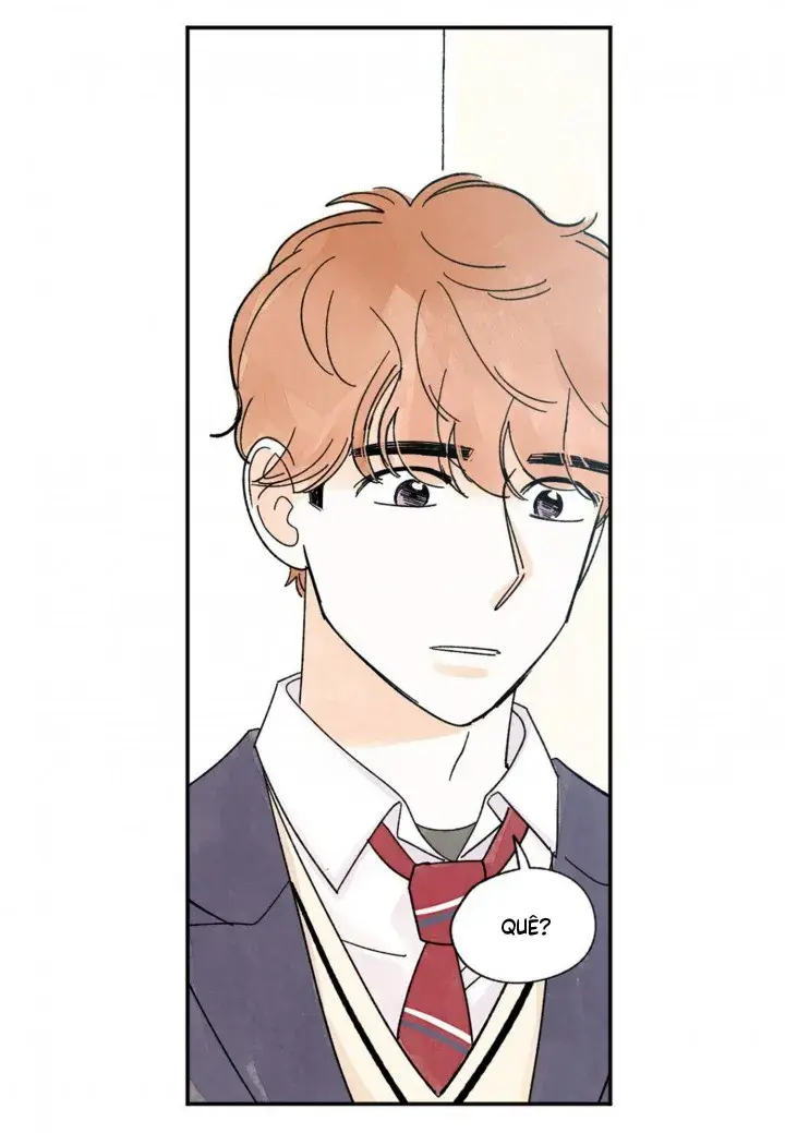 Kisses x kiss x kisses – Capítulo 66 Yaoi – Página 33