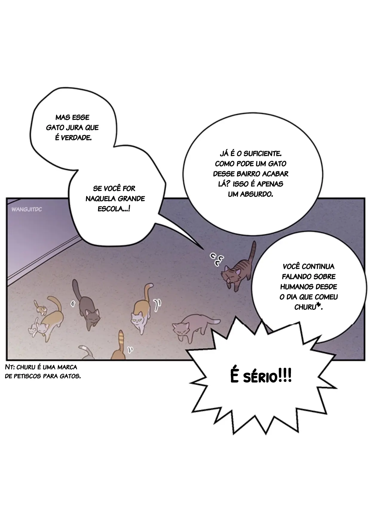 Meu Único Gato – Capítulo 01 Yaoi – Página 11