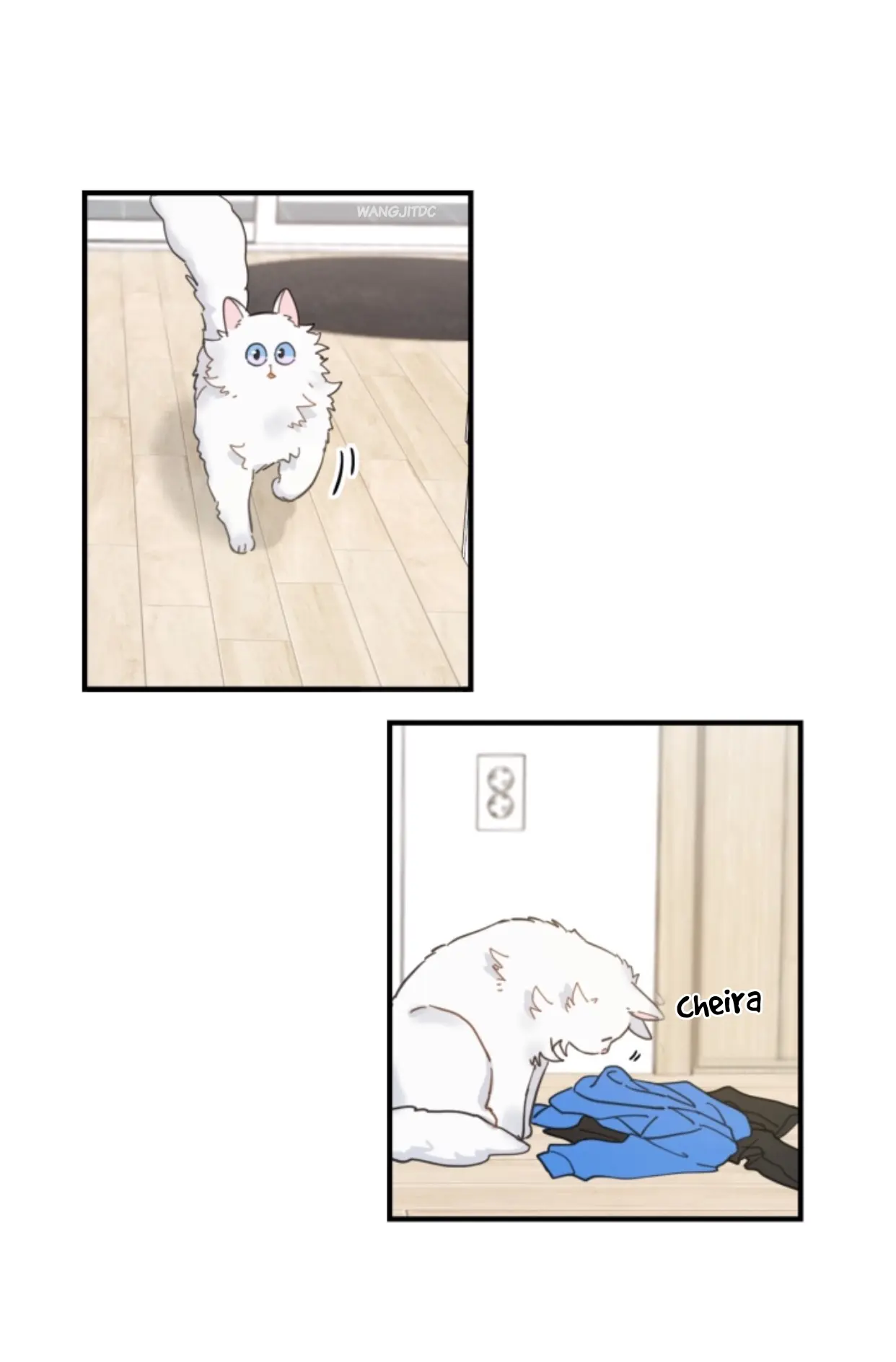 Meu Único Gato – Capítulo 02 Yaoi – Página 38