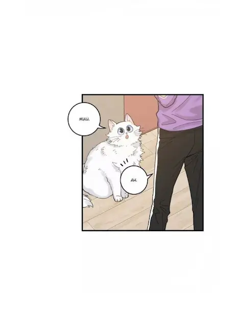 Meu Único Gato – Capítulo 03 Yaoi – Página 60