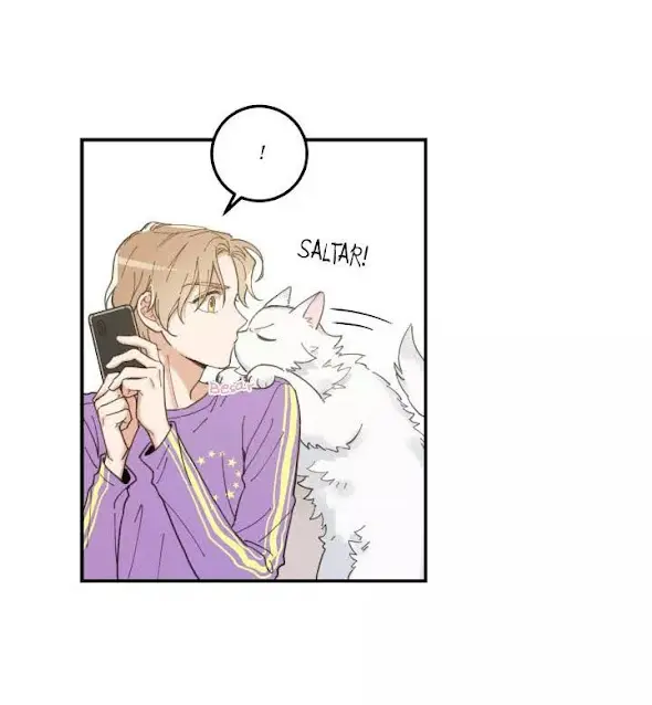 Meu Único Gato – Capítulo 03 Yaoi – Página 70