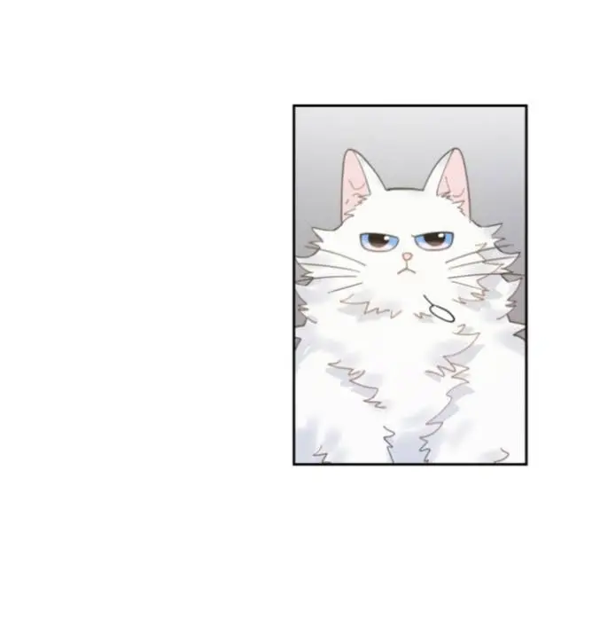 Meu Único Gato – Capítulo 05 Yaoi – Página 82