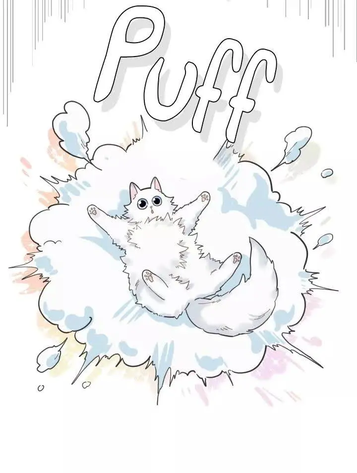 Meu Único Gato – Capítulo 06 Yaoi – Página 30