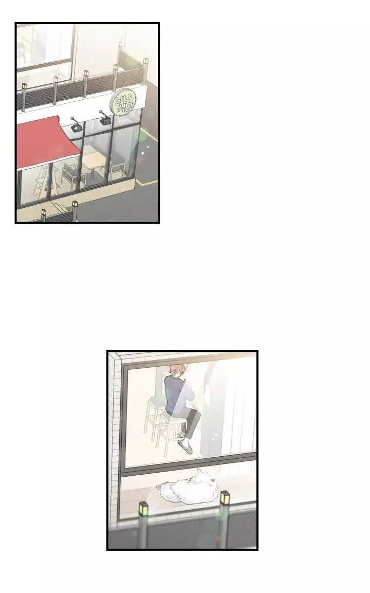 Meu Único Gato – Capítulo 06 Yaoi – Página 34