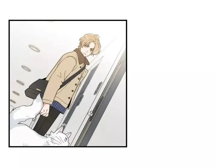 Meu Único Gato – Capítulo 06 Yaoi – Página 47