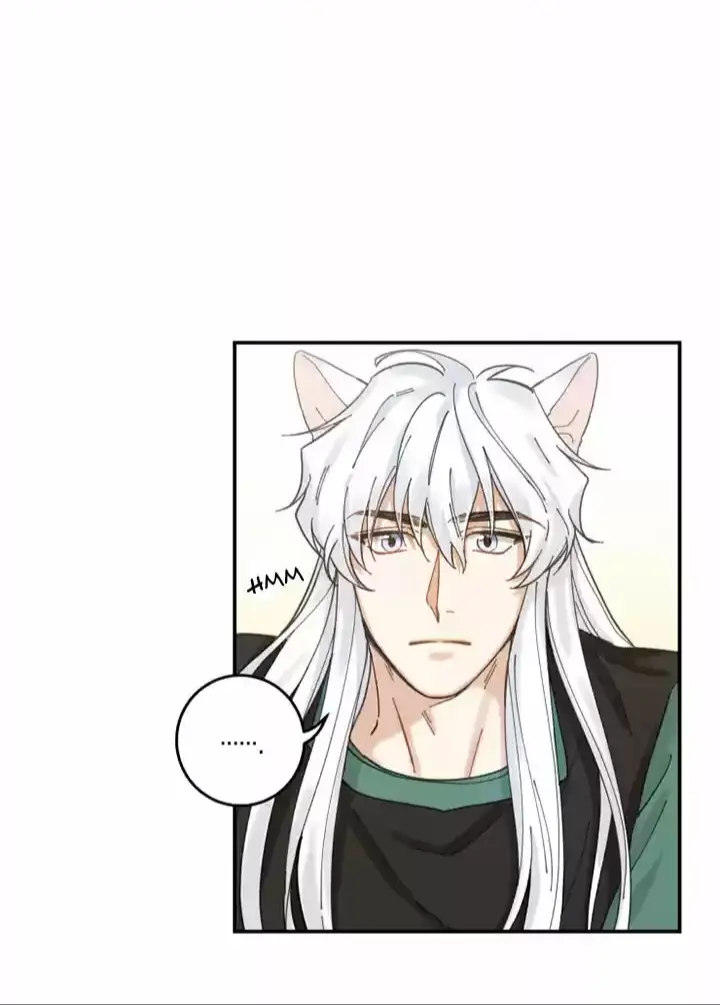 Meu Único Gato – Capítulo 08 Yaoi – Página 35