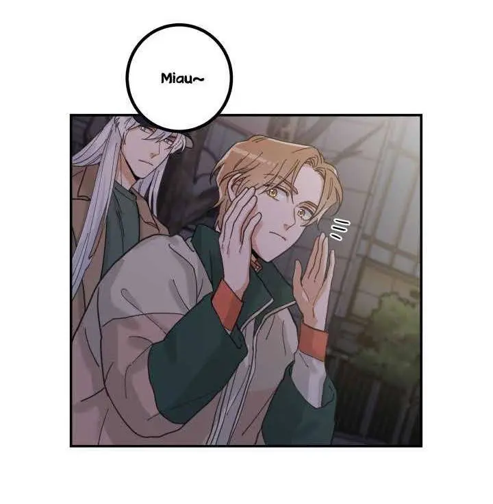 Meu Único Gato – Capítulo 09 Yaoi – Página 13