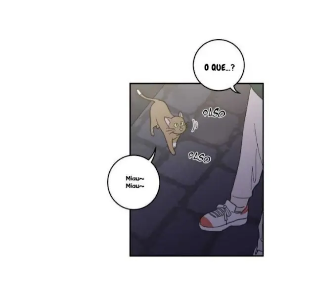 Meu Único Gato – Capítulo 09 Yaoi – Página 14