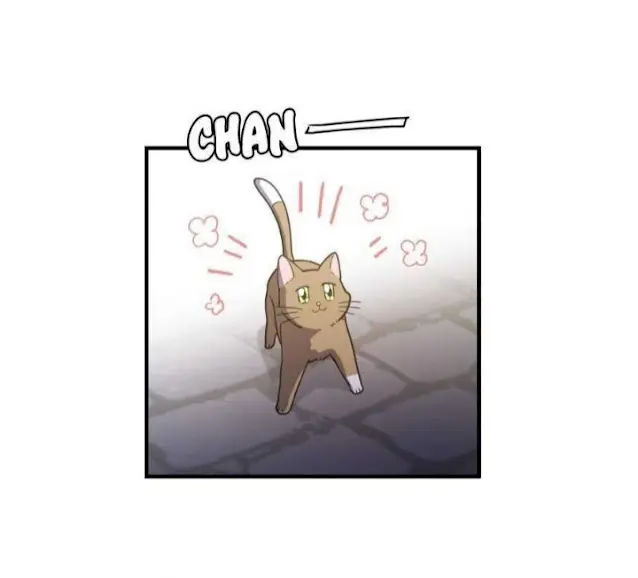 Meu Único Gato – Capítulo 09 Yaoi – Página 15