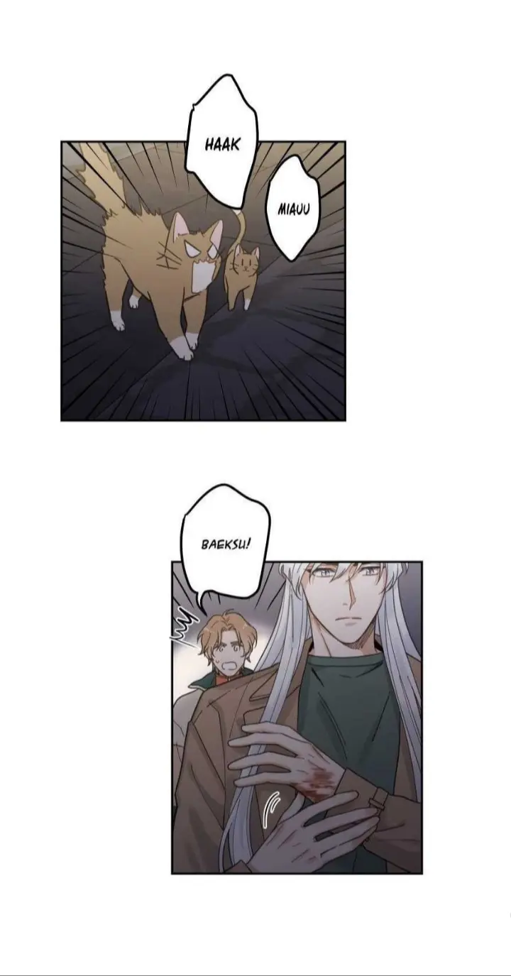 Meu Único Gato – Capítulo 09 Yaoi – Página 26