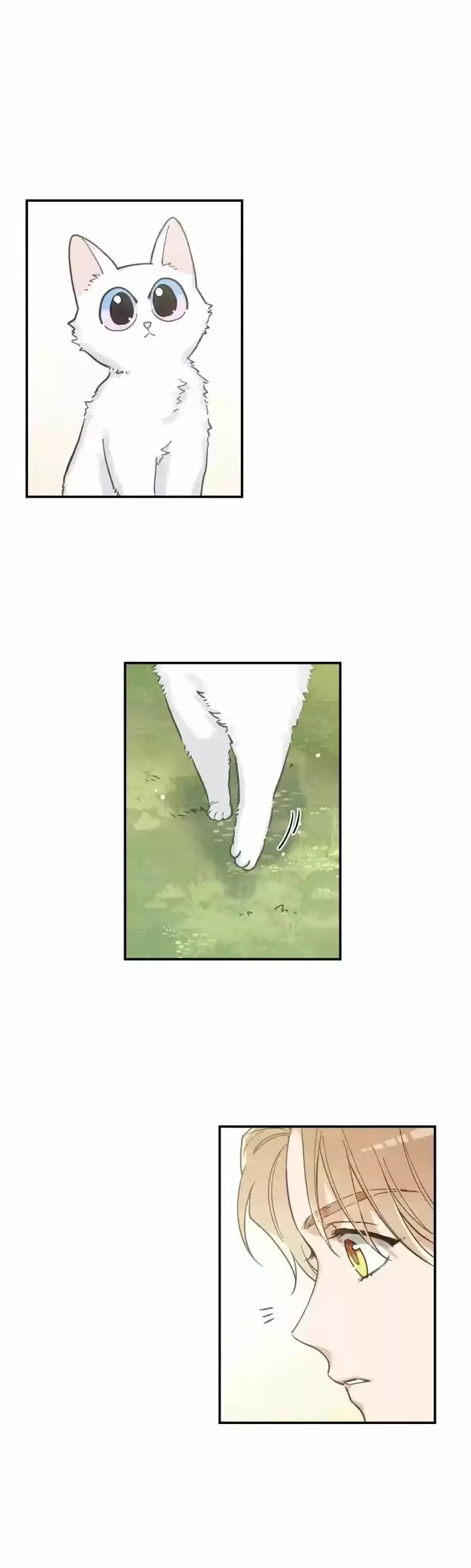 Meu Único Gato – Capítulo 10 Yaoi – Página 12