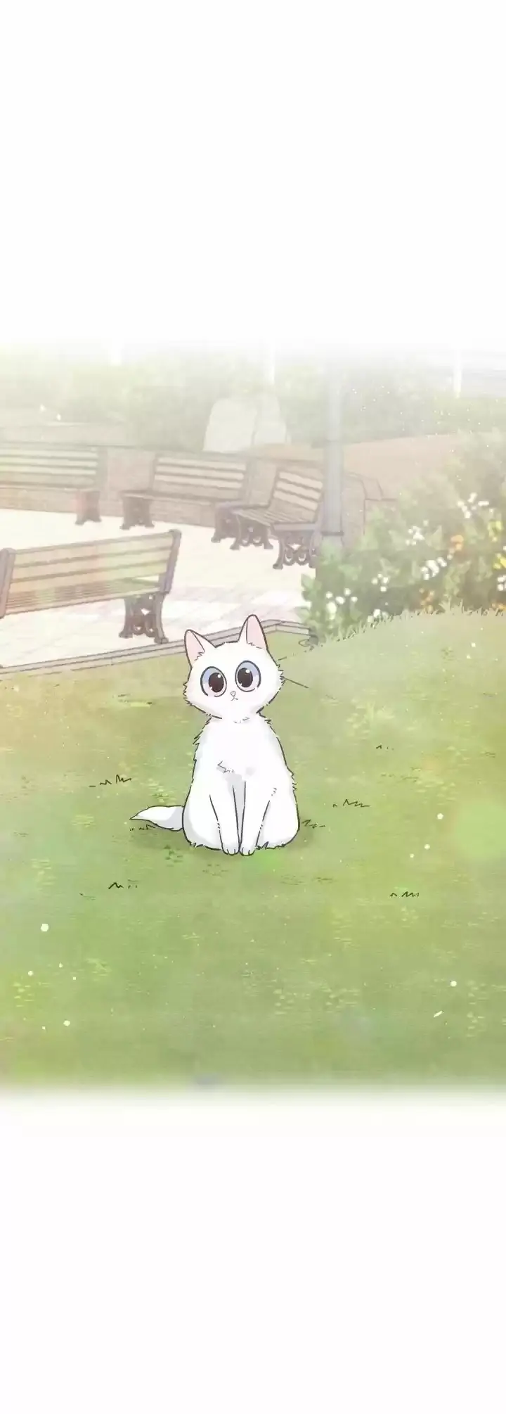 Meu Único Gato – Capítulo 10 Yaoi – Página 9