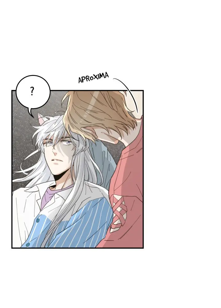 Meu Único Gato – Capítulo 11 Yaoi – Página 13