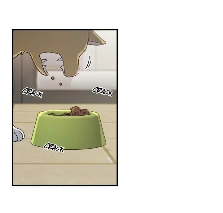 Meu Único Gato – Capítulo 15 Yaoi – Página 19