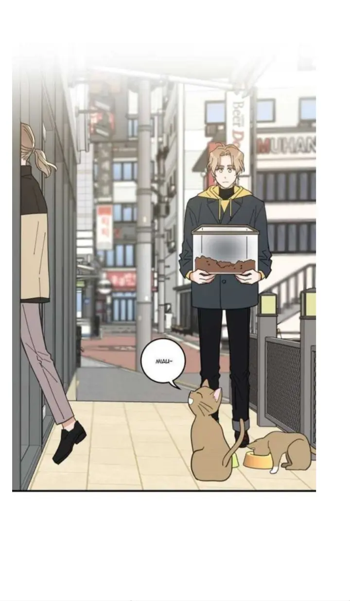 Meu Único Gato – Capítulo 15 Yaoi – Página 31