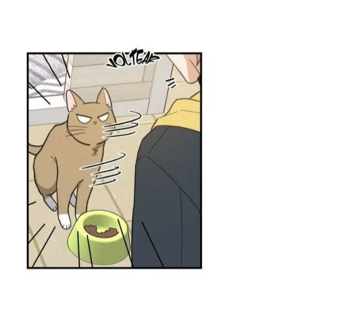 Meu Único Gato – Capítulo 15 Yaoi – Página 33