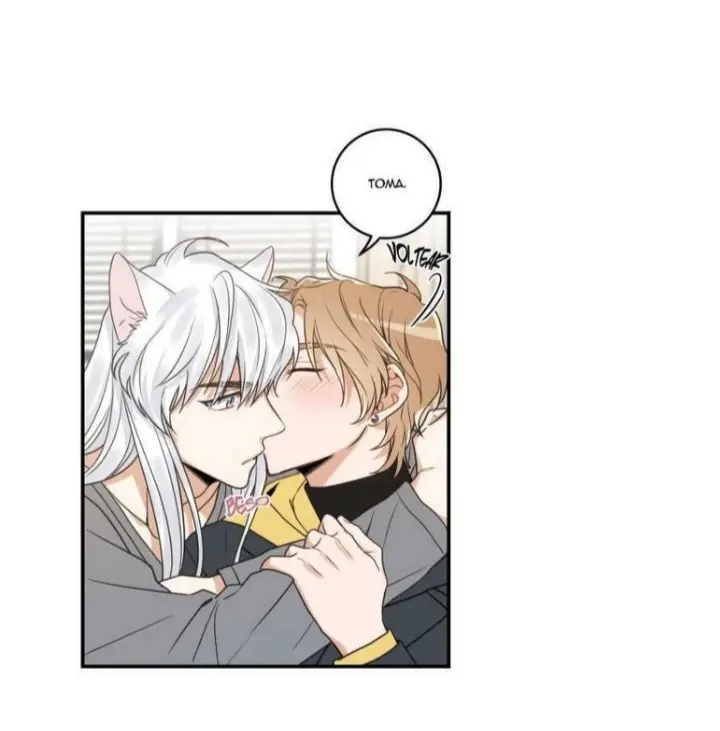 Meu Único Gato – Capítulo 15 Yaoi – Página 6