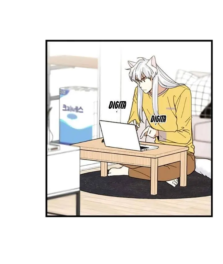 Meu Único Gato – Capítulo 17 Yaoi – Página 10