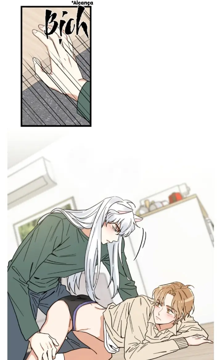 Meu Único Gato – Capítulo 19 Yaoi – Página 23