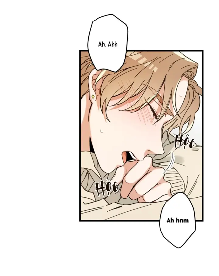 Meu Único Gato – Capítulo 19 Yaoi – Página 27