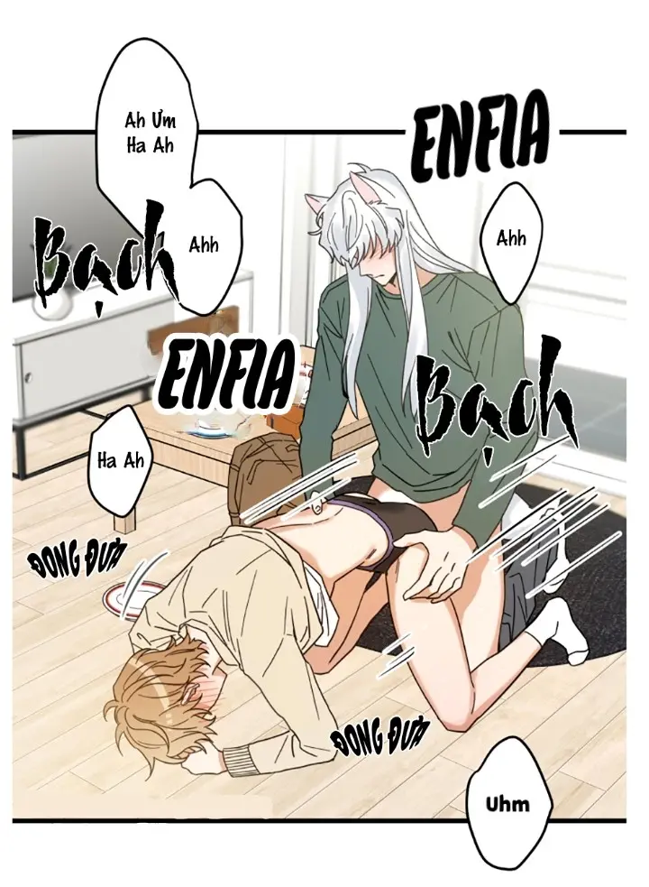 Meu Único Gato – Capítulo 19 Yaoi – Página 34