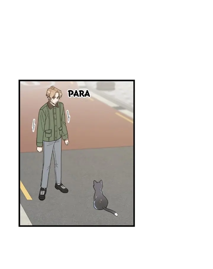 Meu Único Gato – Capítulo 20 Yaoi – Página 32